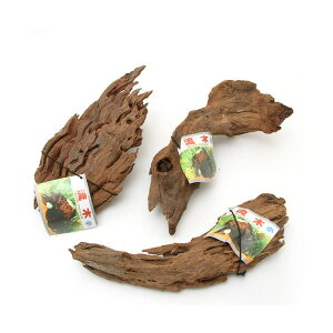 J~n^@؁@@`󂨔C@ANAE@@֓