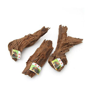 J~n^@؁@@`󂨔C@ll1_@ANAE@@֓