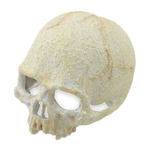 GEX エキゾテラ スカル S 関東当日便