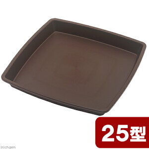 AbvEFA[@NtgXNGAv[g@25^@_[NuE@֓