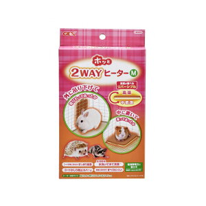 GEX@zb2WAYq[^[@M@nX^[@΍@֓