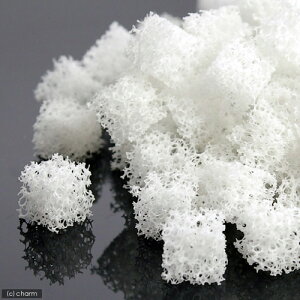 yʍiށ@Gel@CubeiQL[uj@oNeAp@X[@0D5bgiWECpjTCY@֓