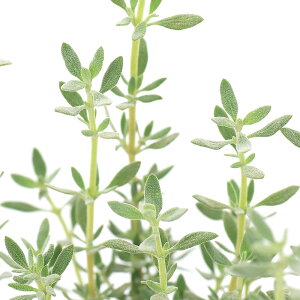 iϗtAjn[uc@^C@}XeB`i@3i1|bgj@A}@ƒ؉@Ntg@