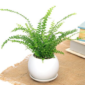 iϗtAjV_@ltsX@_btB[@}bg{[SAi1j@Mt@y΍@A@@@v[g