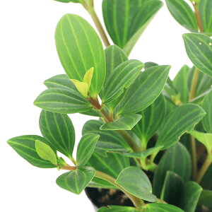 iϗtAjyy~A@tFA[@3i1|bgj