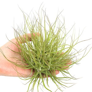 iϗtAjGA[vc@`WA@V[fBAi@Nvi1j