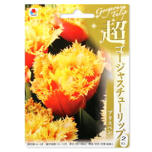 iϗtAj@`[bv@S[WX`[bv@uXx@2li1܁j