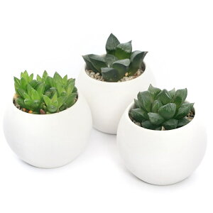 iAjnI`A@i킨܂@}bg{[SAi1j@Mt@y΍@A@@@v[g