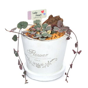 iϗtAjn[gJY@fBn[g@tOhEh|bgXXSAi1j@Mt@y@A@@@v[g