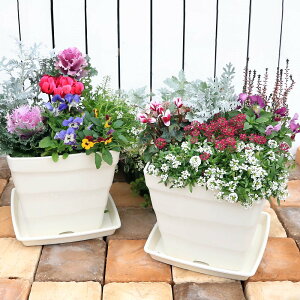 iϗtAj񂹐A@i킨܂@{̉ԁ@󂯎Mt@25cmi1jG߉Ԓdԕc댺֓叉SҔԒuK[fjO