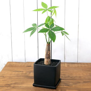 iϗtAjpL@픫A@}bgubNhi1j@Mt@n⍻@@@@K^@N