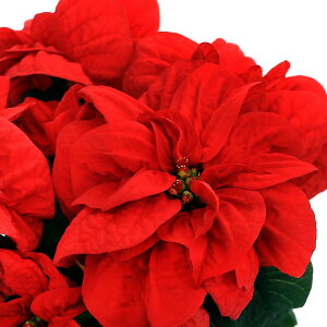 iϗtAj|CZ`A@EC^[[Y@4i1j@NX}Xt[