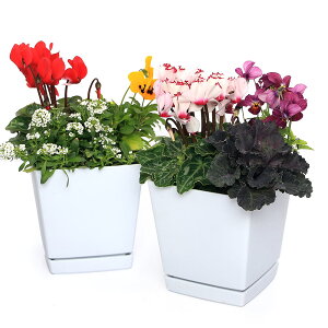 iϗtAjG߂̉3񂹐A@i킨܂@󂯎Mti1j