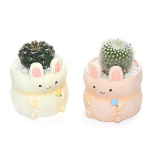 iϗtAj܂v`T{e@grbg@F܂i1j@ł܂鍻@A@@v[g