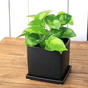 iϗtAj|gX@O[oO[@픫A@}bgubNhi1j󂯎Mt@n⍻@