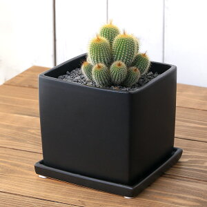 iϗtAjT{e@Wہ@Q@픫A@}bgubNhi1j󂯎Mt@n⍻@