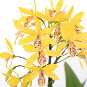 iϗtAjm@JgA@L[O`@3`4i1j