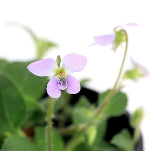 iR쑐jX~i俁j}cNVX~iR}俁j@3i1|bgjixԁj