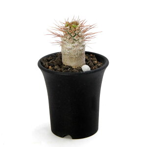 iAj_@pL|fBE@i}NAi@iqJhEjij@3i1|bgji347661j@R[fbNX