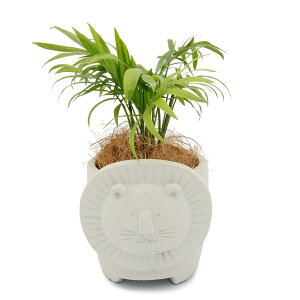 iϗtAje[uV@ZgA@IXtF[T[N@zCgi1j@RRVt@Co[@AA@CeA@