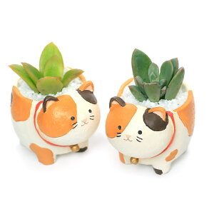 iϗtAj܂v`@lOєLi1j@ł܂鍻