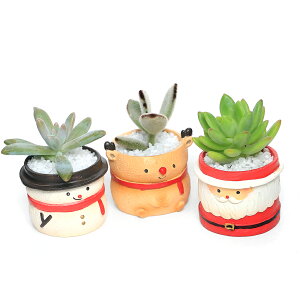 iϗtAj܂v`@NX}X@F܂i3j@ł܂鍻