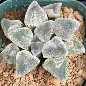 iAj؍c@nI`A@sO}GA@ACX_Chi1j