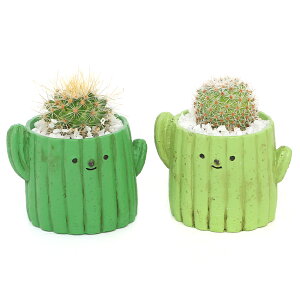 iϗtAj܂v`T{e@T{ei1j@ł܂鍻@A@@v[g