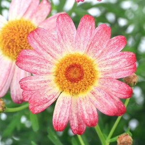 iϗtAjTg[@{U}[Kbg@TCYsN@3D5i1|bgj