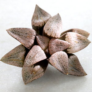 iAj؍c@nI`A@sN^@r[i1j