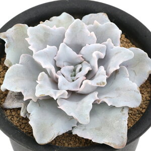 iAjGPxA@NXy[gr[eB@2D5`3i1|bgj