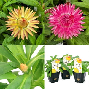 iϗtAjTg[@wNT@R@W{3Zbg@3D5i1Zbgj@CG[@IW@sNOf[V