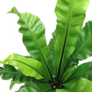 iϗtAjV_@AXvjE@vJ[c@jR[@4i1|bgj