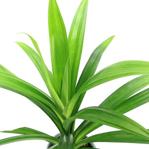 iϗtAjjIC^RmL@4i1j@kCEBq֗vۉ