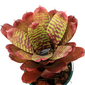 iϗtAjlIQA@fS[ftFUgf@^CY@Ǘ@3i1j^NuA