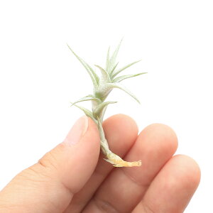 iϗtAjGA[vc@`WA@Ar_@~m[@STCYi1j