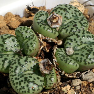 iAjRmtBc IuRf@2i1|bgj