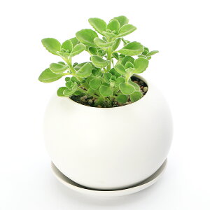 iϗtAjA}eBJX@}bg{[MAi1j@Mt@y΍@A@@@v[g