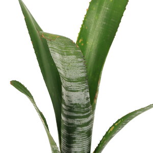 iϗtAjrxMA@f[`[uf@^CY@2i1j^NuA