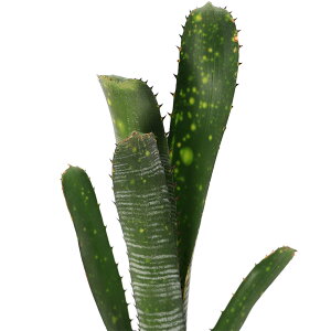 iϗtAjrxMA@fJTCgf@^CY@2i1j^NuA