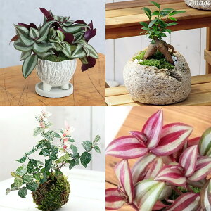 iϗtAjXlCiI@aCeAO[Zbgi3Zbgj