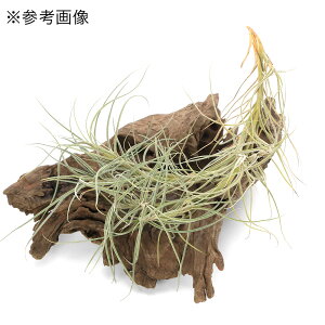 iϗtAjGA[vc@`WA@ofVX@Nvi1j