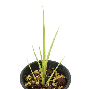 iϗtAjlIQA@fEB\jAifuEtH[@2D5i1j^NuA