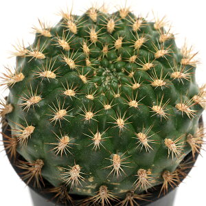 iAjT{e@u`A@Ԋ}ہiniKT}j@3i1j