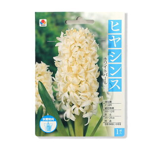 iϗtAjqVX@͔|pqVX@zCgp[@1i1܁j