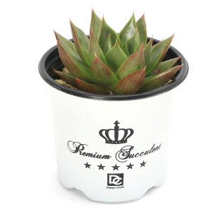 iAjGPxA@Rc@[O@3i1|bgj