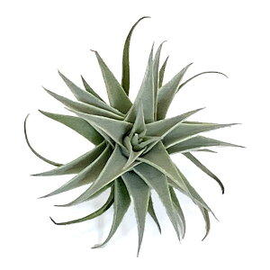 iϗtAjGA[vc@`WA@GfBVAG@O[tH[i1j