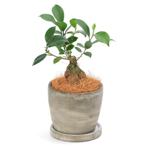 iϗtAjCeA@KW}@4@Zg|bg@EhS@MtIRRVt@Co[@ϗtA@@TCY