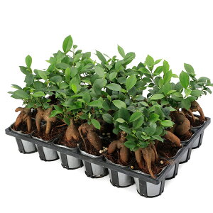 iϗtAj@CeA@KW}@2D5`3i24|bgj삪ZލK̖