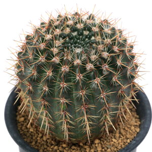 iAjT{e@mgJN^X@̉q@3i1j